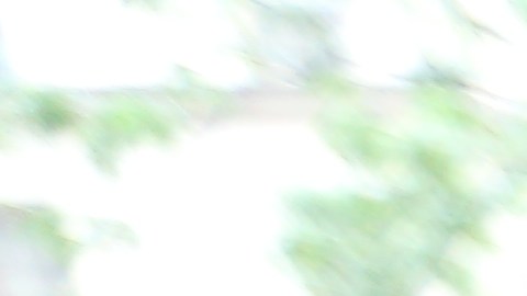 Ruby Carrasquillo, 53, lleva 7 meses buscando un lugar donde vivir con los vouchers de la ciudad.