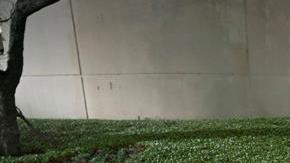 Los efectos de Harvey en una calle de Corpus Christi, Texas.