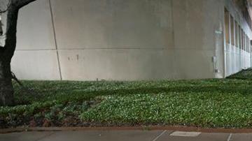 Los efectos de Harvey en una calle de Corpus Christi, Texas.