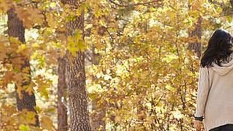 Caminar 10 minutos al día incrementa tu salud.