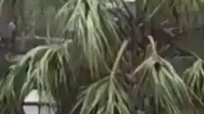 Una persona resultó muerta.