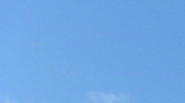 Universidad Columbia, NYC.