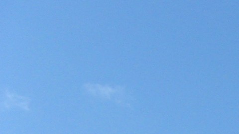 Universidad Columbia, NYC.