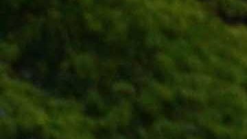 La zona debajo del Puente de Brooklyn fue una de las preferidas para ver el eclipse.