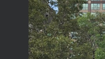 El congresista Espaillat al frente de la estatua de Duarte en el Bajo Manhattan.