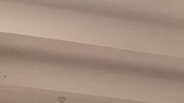 Los fiscales generales Eric Schneiderman y Eric González criticaron duramente a 'La Migra' en la rueda de prensa.