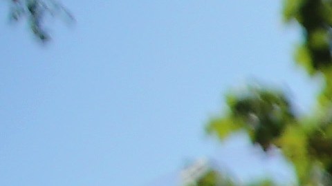 Las opiniones sobre inmigrantes en EEUU es muy variada.