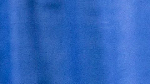 El presidente Trump perdonó a Joe Arpaio.