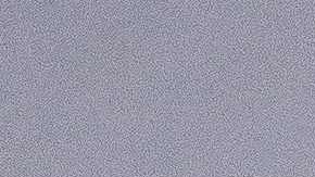 Los mosquitos proliferan durante el verano.