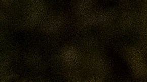 Los múltiples viajes del presidente Trump terminaron por "comerse" el presupuesto del Servicio Secreto.