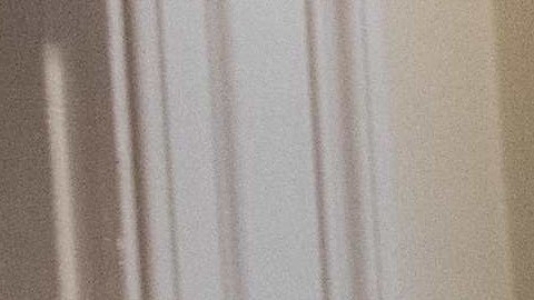 Kellyanne Conway afirmó que el presidente Trump competirá en 2020.