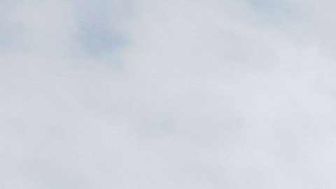 El "Pollo Trump" tuvo su origen en China.