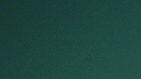 Invitados se retratan en el photobooth de OkCupid durante el evento 'A Moth Summer Night's Dream' en Nueva York.