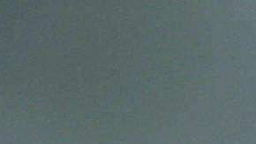 MS-13 tiene amplia presencia en Long Island, California y Centroamérica.