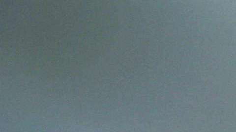 Se ha intensificado la lucha contra la Mara Salvatrucha