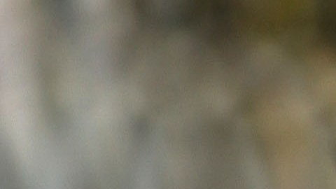 Inmigrantes mueren en la frontera de México con EEUU aumentaron este año
