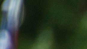 En el país se tienen ubicados 917 grupos de supremacía blanca.