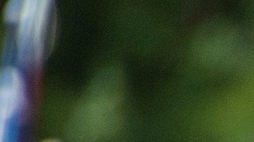 En el país se tienen ubicados 917 grupos de supremacía blanca.