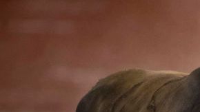 Fuentes de seguridad en Ecuador identifican al detenido como Alexis Sandoval. JAIME REINA/AFP/Getty Images