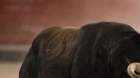 Fuentes de seguridad en Ecuador identifican al detenido como Alexis Sandoval. JAIME REINA/AFP/Getty Images