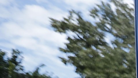 Los hechos violentos en Charlottesville, Virginia, aumentaron las alertas sobre racismo en EEUU.