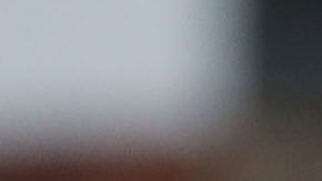 El presidente Trump cambió sus planes para Nueva Tork y volvió a Washington D.C.