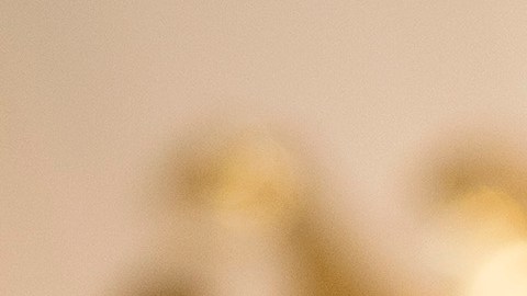 El presidente Trump retuiteó a un supremacista.
