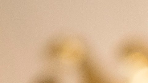 El presidente Trump retuiteó a un supremacista.