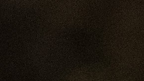 El presidente Trump ha desatado varias reacciones en su contra.