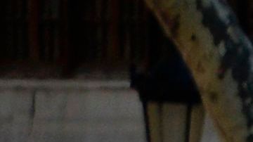 El atentado de Barcelona ha vuelto a poner en evidencia la importancia de las medidas de protección en zonas públicas.