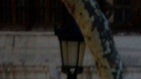 El atentado de Barcelona ha vuelto a poner en evidencia la importancia de las medidas de protección en zonas públicas.