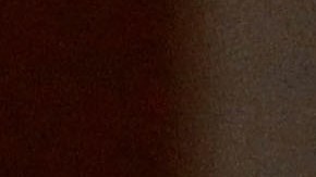 El presidente Trump ha defendido el perdón concedido a Arpaio.