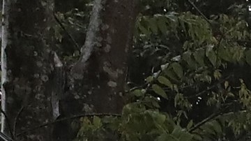 Miles de personas acudieron a refugios por ayuda.