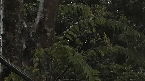 Miles de personas acudieron a refugios por ayuda.