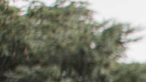 La "primera hija" y su familia.