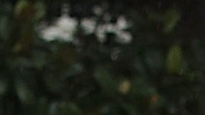 El presidente Trump viajó a Texas este martes.