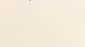Ramón Guzmán, padre de la pequeña Marissa, de 9 años y estudiante de cuarto grado en El Bronx, cree que debe haber más medidas de seguridad para proteger a los estudiantes