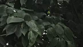 Teresa González, quien tiene más de 23 años fumando, asegura que no dejará de hacerlo aunque suba el precio de los cigarrillos.