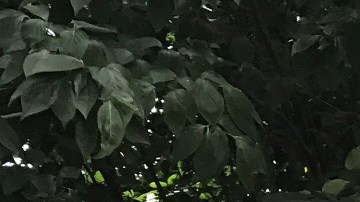 Teresa González, quien tiene más de 23 años fumando, asegura que no dejará de hacerlo aunque suba el precio de los cigarrillos.