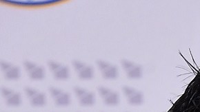 Kal Penn compartió en su cuenta de Twitter la carta enviada al presidente Trump.