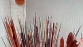 Mhoni vidente prediccion agosto