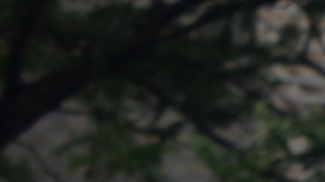 La Uniformada con más presencia en vecindarios "calientes" de El Bronx