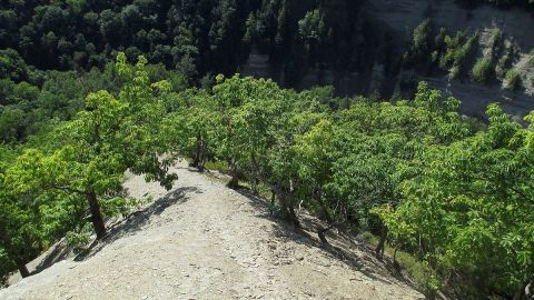 Oak_Zoar_Valley