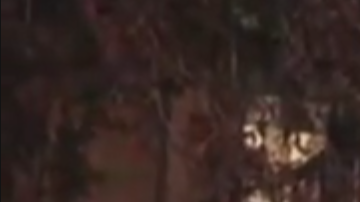 El incendio comenzó en el primer piso del edificio poco después de la 1 a. m. del jueves.