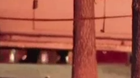 La cabeza fue descubierta por dos amigos que recolectaban latas en la basura.