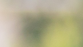 El leasing es una de las fórmulas que más popularidad han ganado para hacerse con un carro./Shutterstock