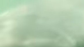 El video captó el momento exacto de la mordida.