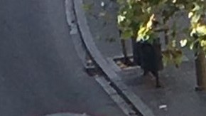 El presidente Trump lamentó los hechos en España que dejaron al menos 13 muertos y más de 50 heridos.