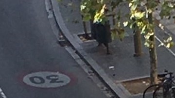 El presidente Trump lamentó los hechos en España que dejaron al menos 13 muertos y más de 50 heridos.