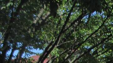 La casa es de estilo Tudor y puede alquilarse a partir de $725 al día.